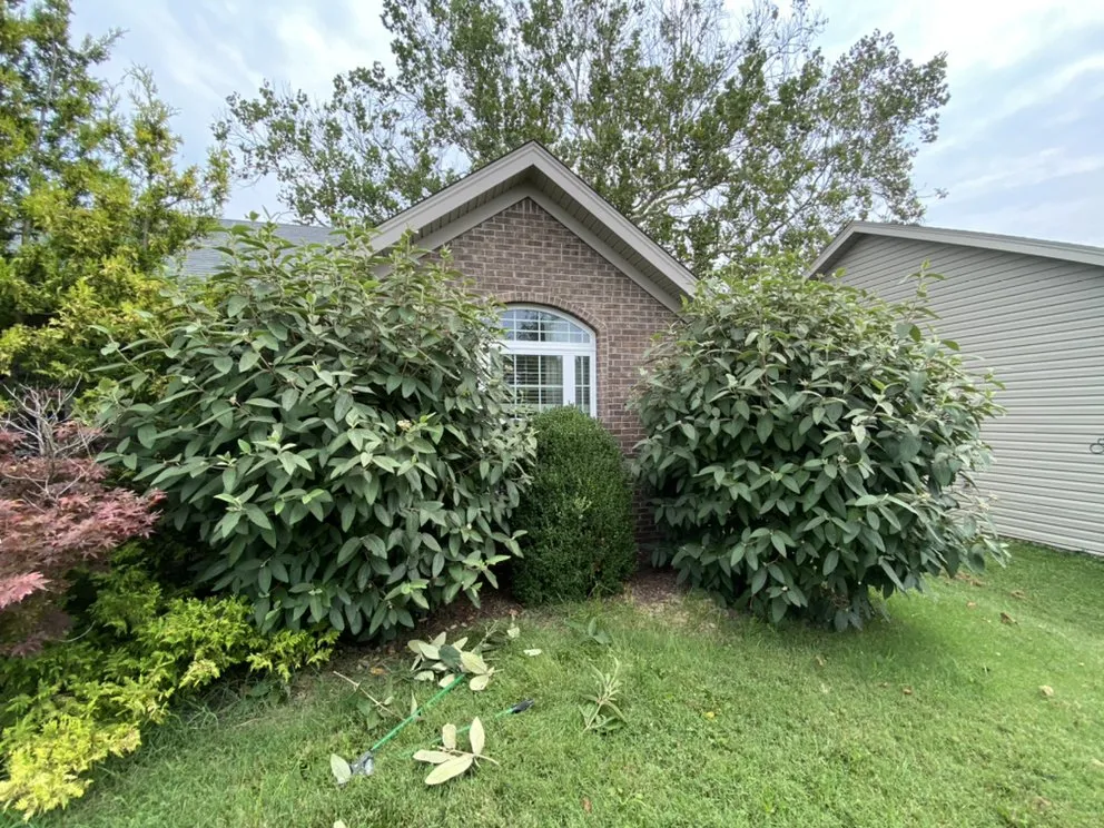 Reliable yard maintenance experts serving Sellersburg, IN - Jays Lawn Care