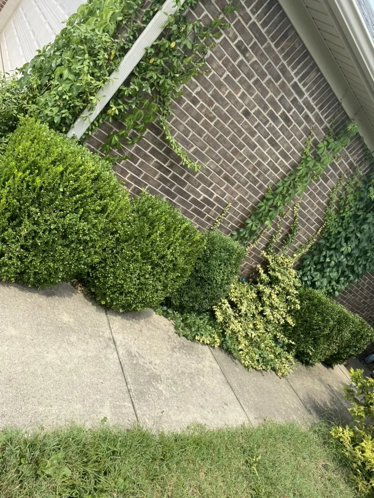 Reliable landscape installation with custom design in Sellersburg, IN by Jays Lawn Care