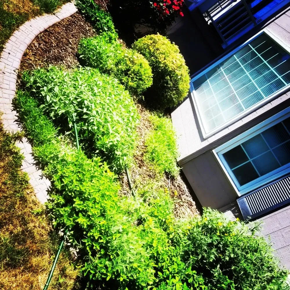 Professional yard maintenance in Yakima, WA by Jays Lawn Care