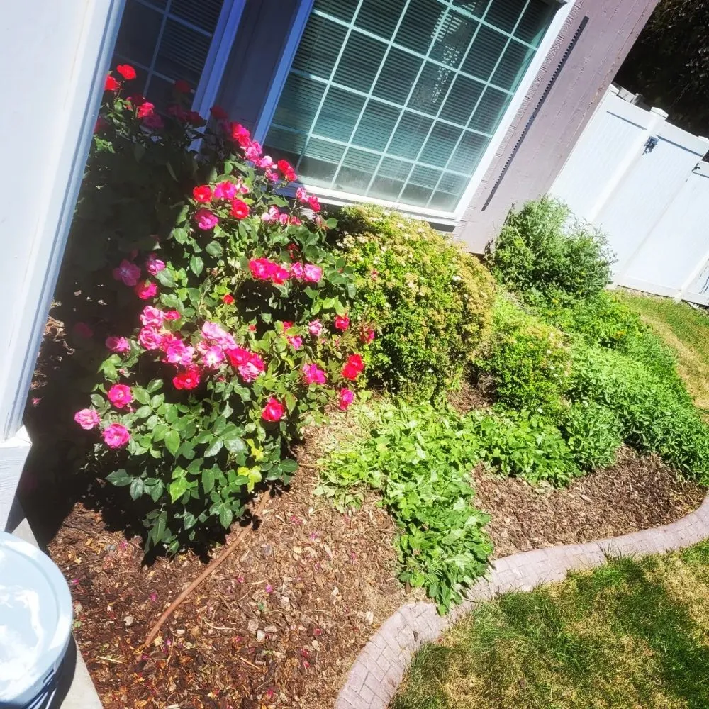 Expert landscaping services in Yakima, WA - Jays Lawn Care