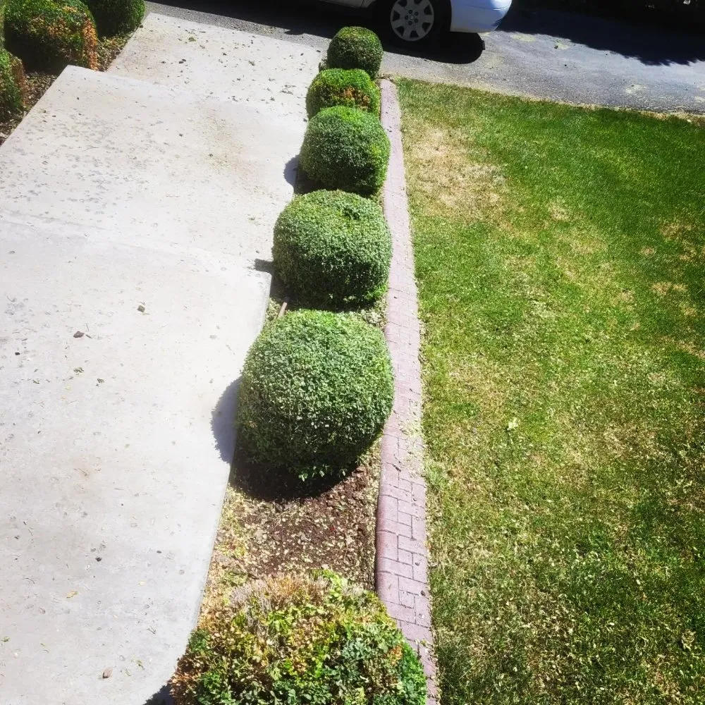 Affordable landscape installation in Yakima, WA - Jays Lawn Care