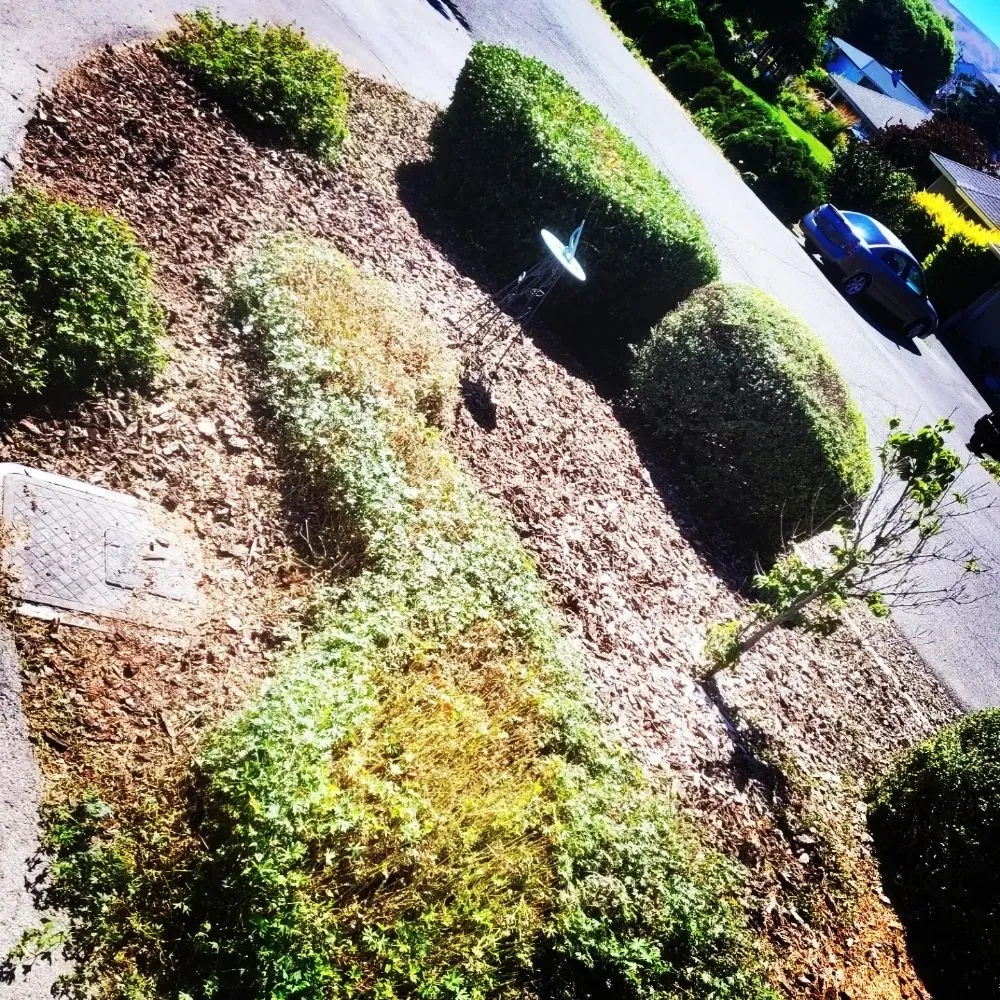 Custom landscape installation in Yakima, WA - Jays Lawn Care