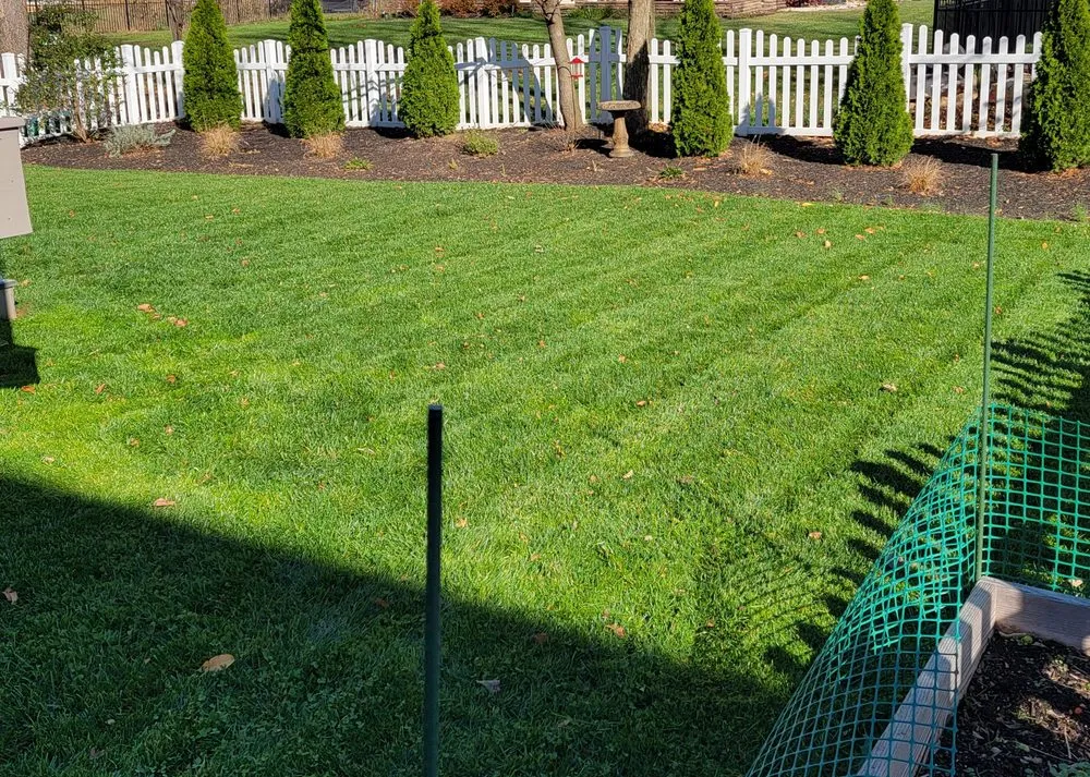 Custom yard maintenance experts serving Silver Spring, PA - Jays Lawn Maintenance