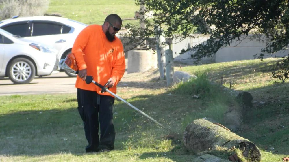 Expert lawn mowing service experts serving Euless, TX - Jay's Lawn Service