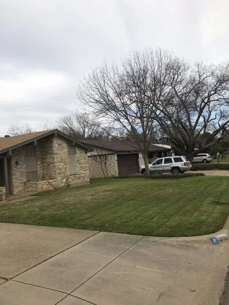 Local yard cleanup service near you across Euless, TX - Jay's Lawn Service