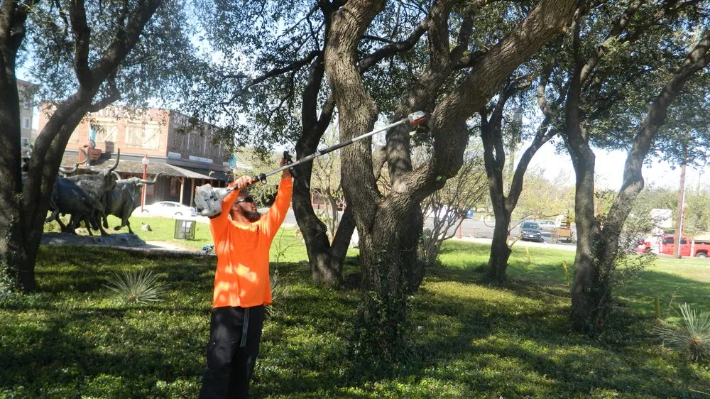 Reliable lawn mowing service in Euless, TX - Jay's Lawn Service