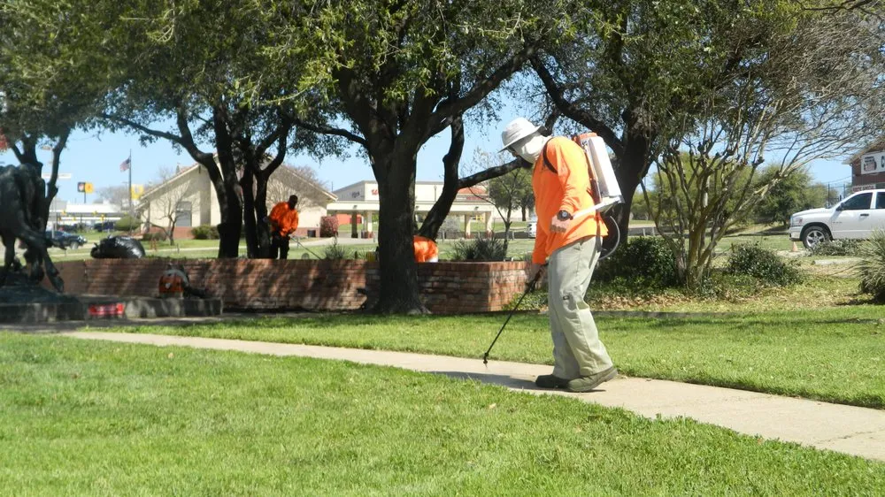 Professional yard cleanup service in Euless, TX - Jay's Lawn Service