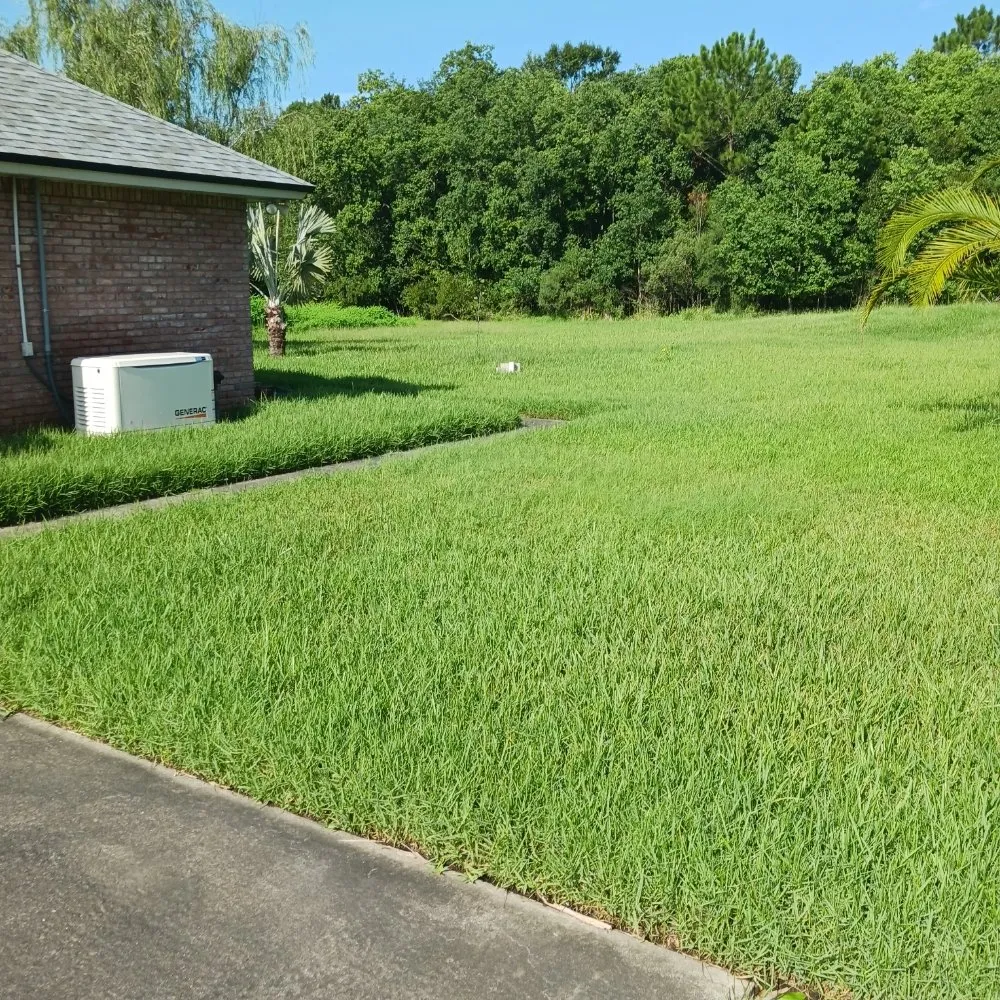 Expert yard cleanup service for residential properties across Jacksonville, FL - Jays Lawn Service