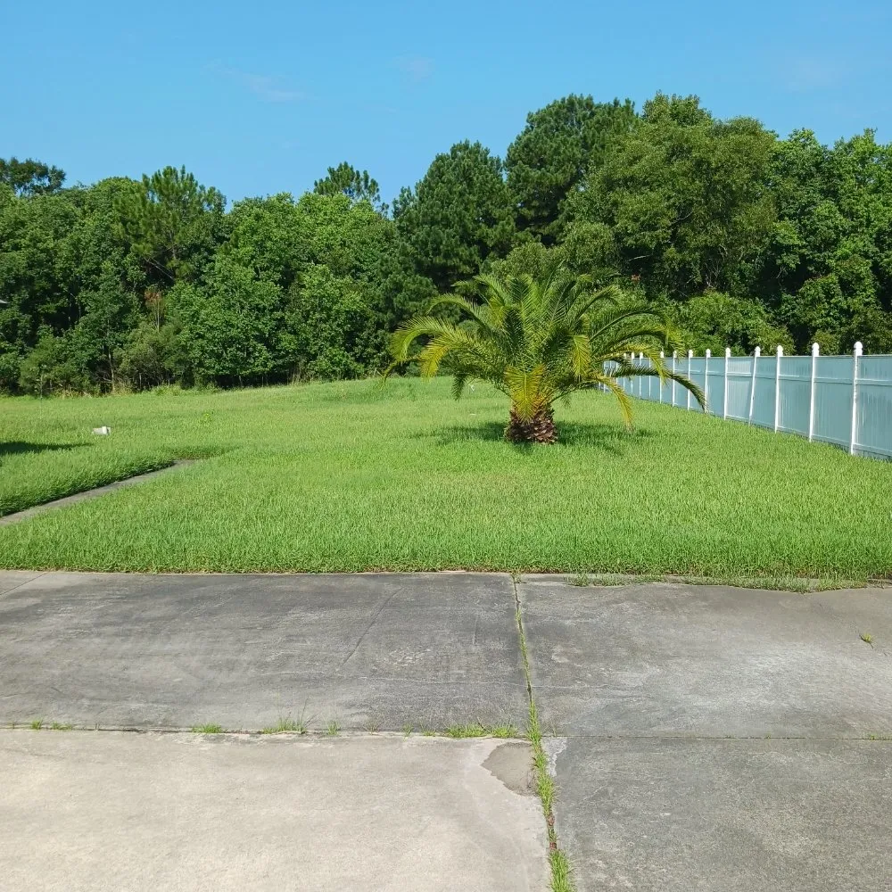 Affordable yard maintenance for residential properties in Jacksonville, FL by Jays Lawn Service