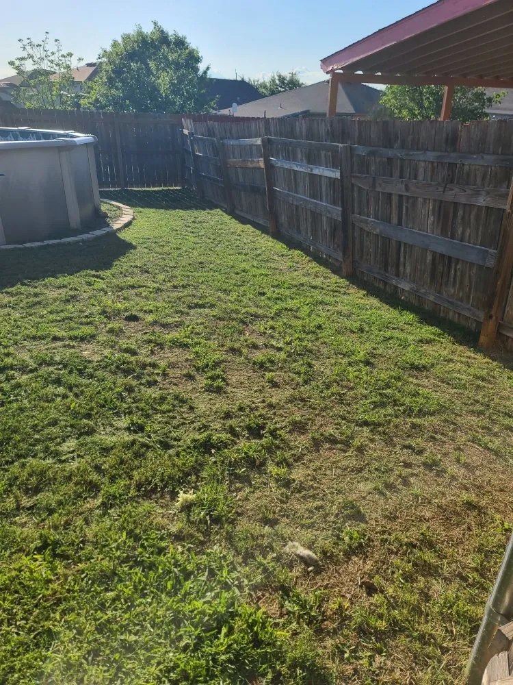 Reliable lawn care service in San Antonio, TX - Jay's lawn service