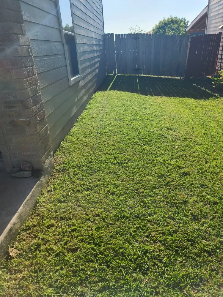Professional lawn care service experts serving San Antonio, TX - Jay's lawn service