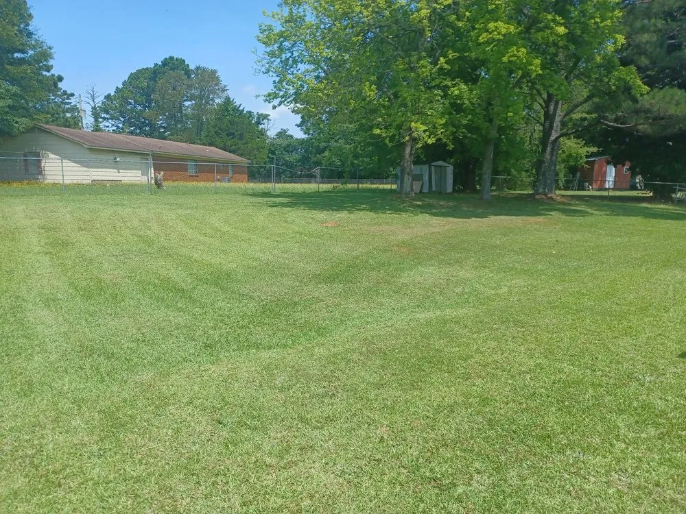 Expert residential landscaping in Tuscaloosa, AL - Jays Lawn Service