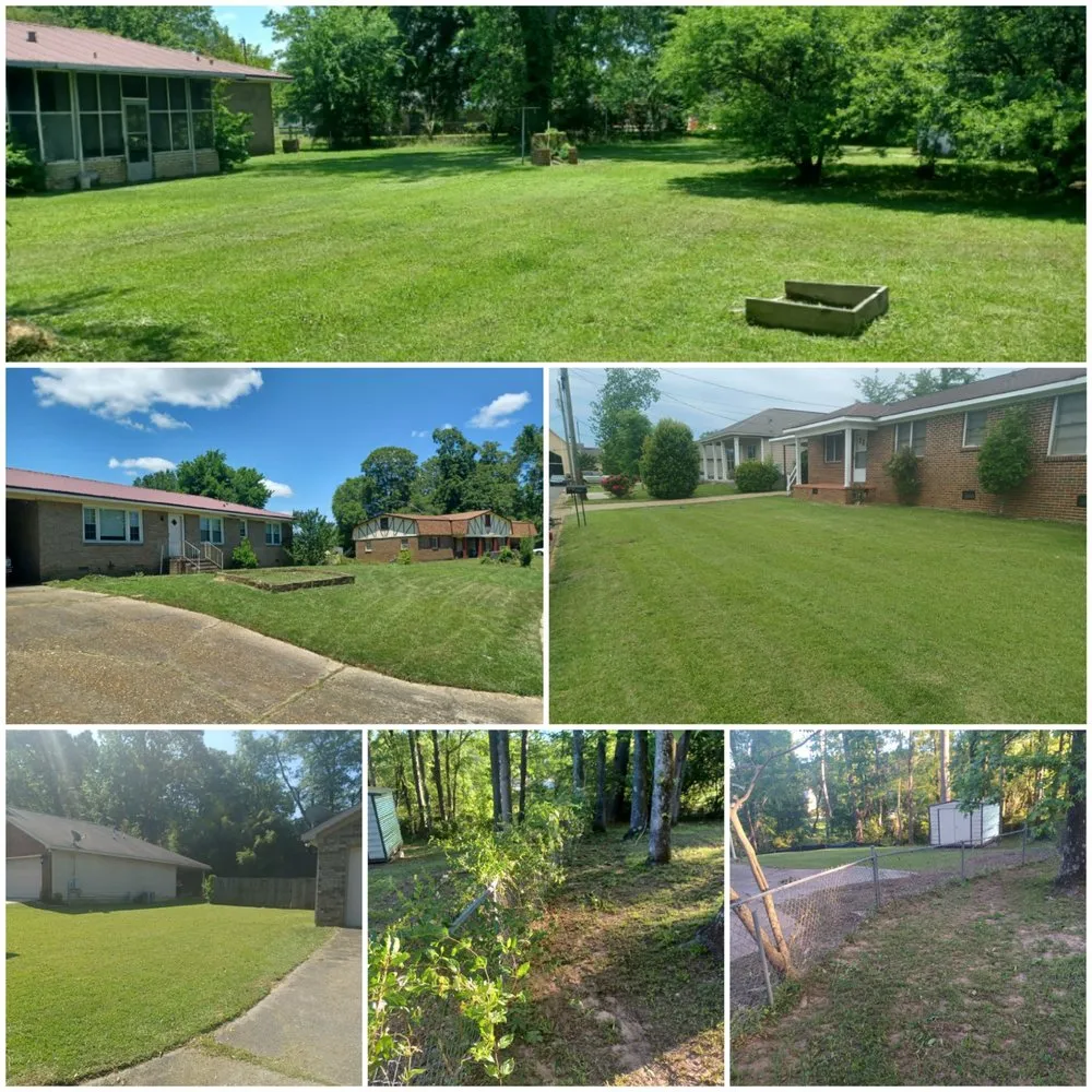 Expert landscape design in Tuscaloosa, AL by Jays Lawn Service