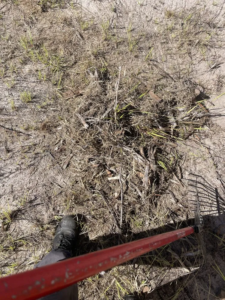 Affordable residential landscaping in Allenhurst, GA - Jays Lawncare