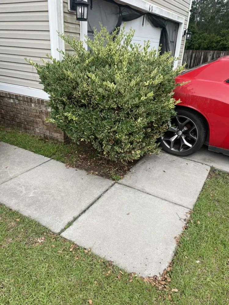 Custom yard maintenance experts serving Allenhurst, GA - Jays Lawncare