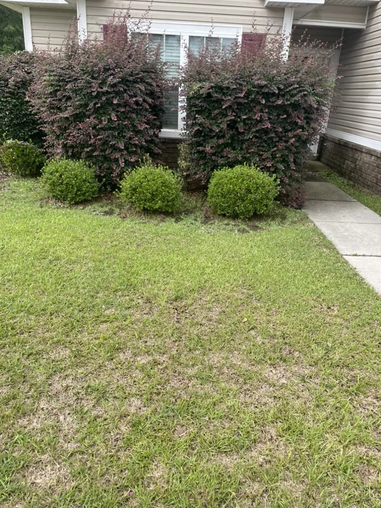 Top-rated lawn mowing service for outdoor upgrades across Allenhurst, GA - Jays Lawncare