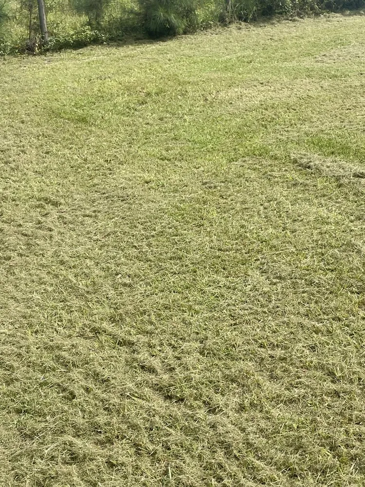 Trusted lawn care service experts serving Allenhurst, GA - Jays Lawncare