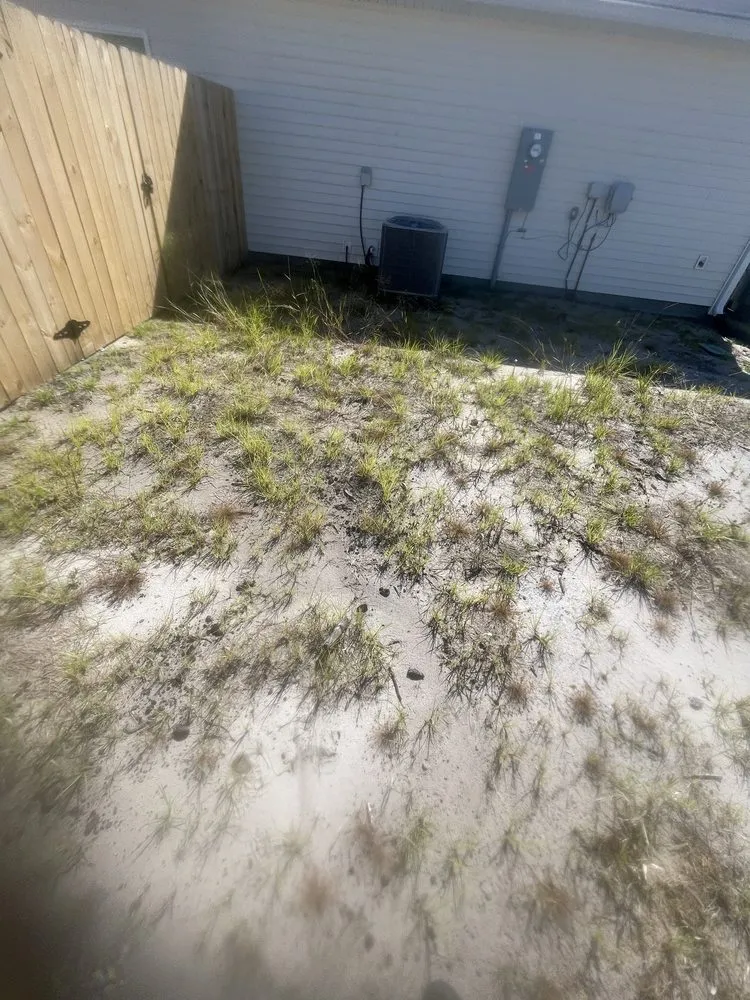 Top-rated lawn care service experts serving Allenhurst, GA - Jays Lawncare