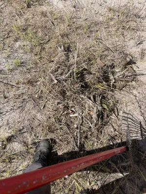 Jays Lawncare Logo