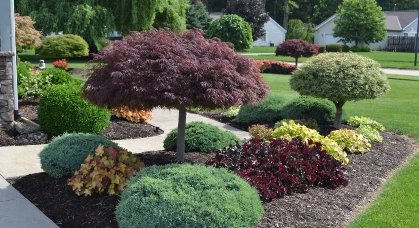 Custom yard maintenance in Elmwood Park, IL by Jays Lawncare