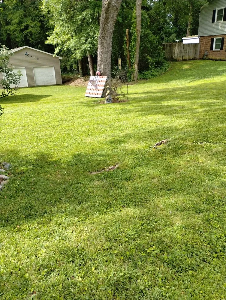 Custom yard maintenance for outdoor upgrades across Gastonia, NC - Jay’s Lawncare