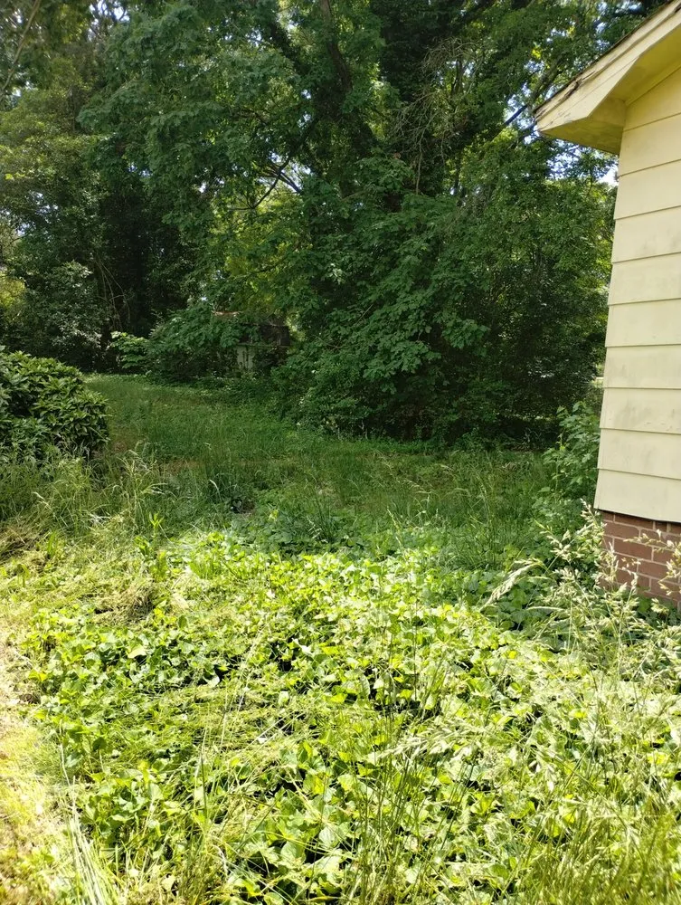 Reliable lawn care service in Gastonia, NC by Jay’s Lawncare