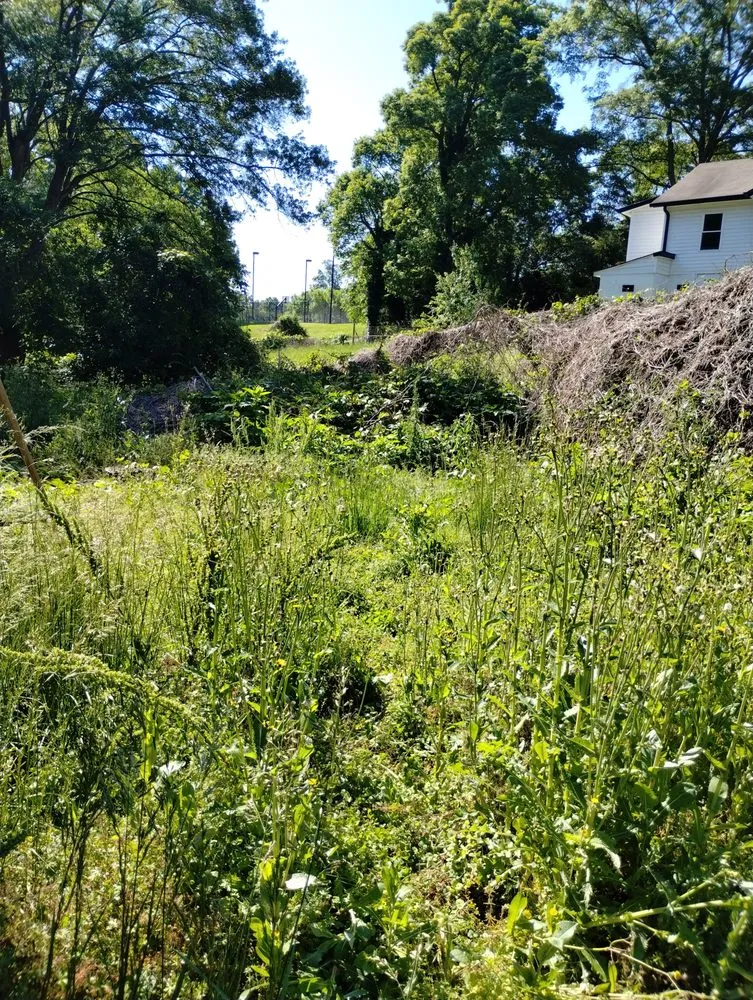 Reliable lawn care service for beautiful yards across Gastonia, NC - Jay’s Lawncare