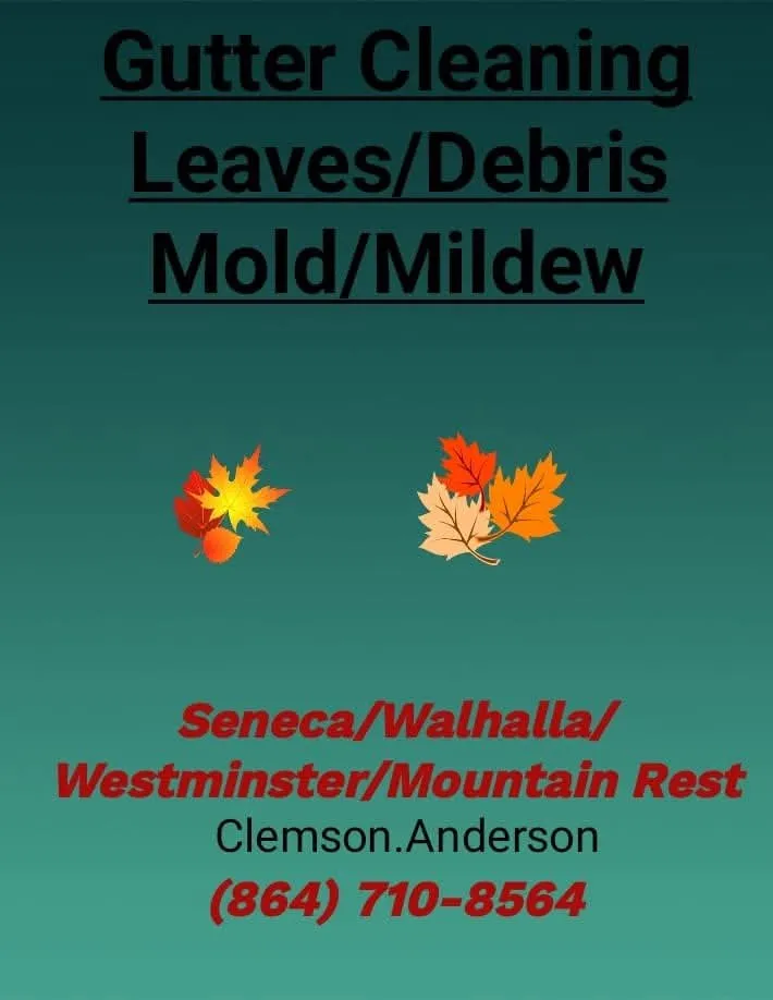 Affordable yard cleanup service experts serving Seneca, SC - Jays Leaves and Debris Lawn Care