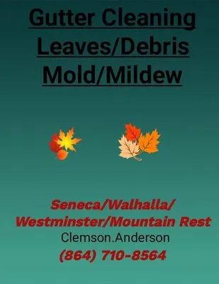 Jays Leaves and Debris Lawn Care Logo