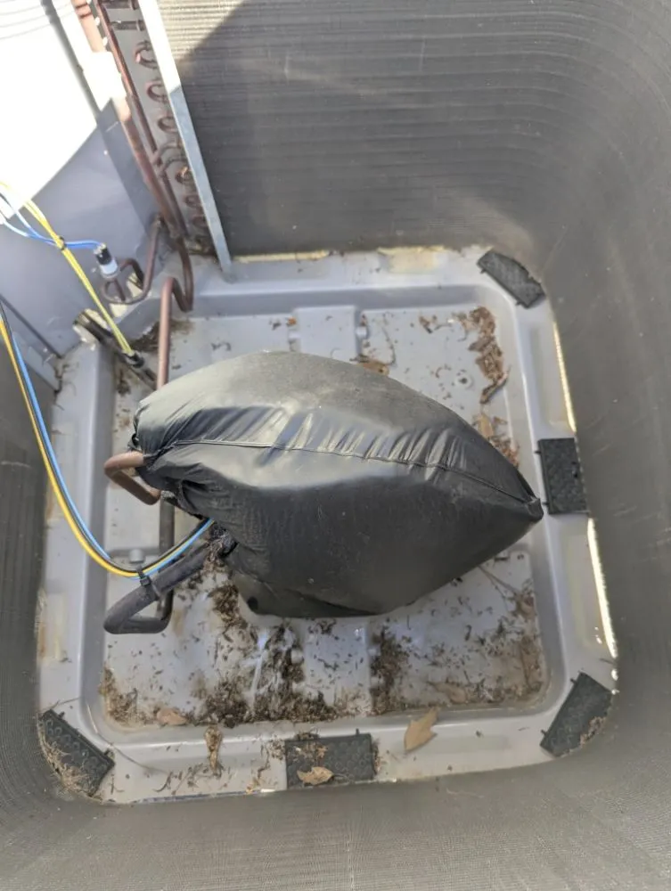 Trusted yard cleanup service in Shreveport, LA by Jay's Maintenance and More