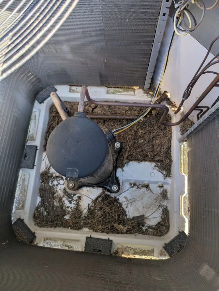 Professional yard maintenance experts serving Shreveport, LA - Jay's Maintenance and More