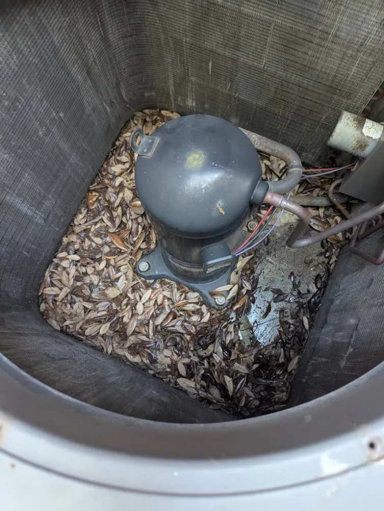 Local residential landscaping with custom design across Shreveport, LA - Jay's Maintenance and More