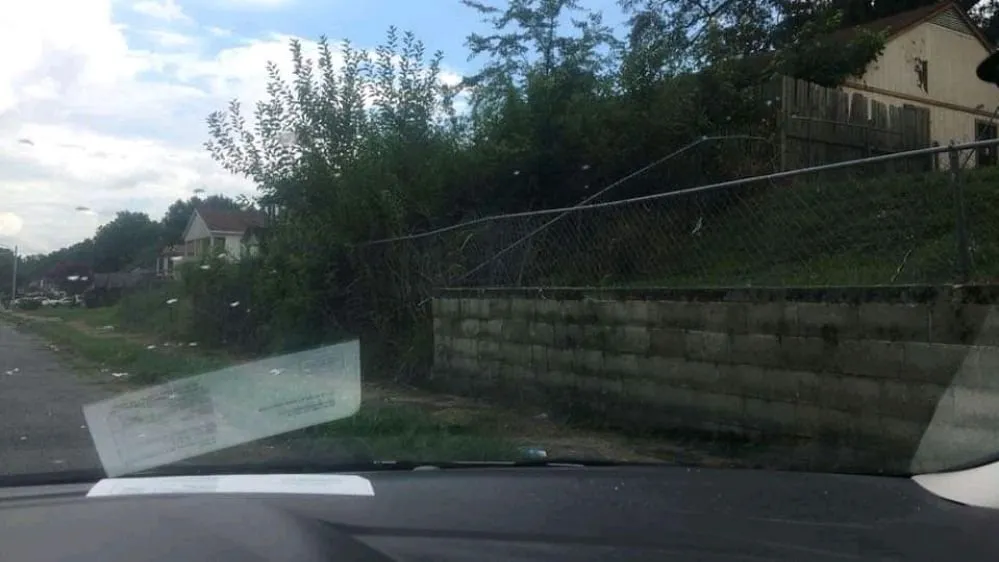 Top-rated residential landscaping in Memphis, TN by Jays Mobile Lawn Service