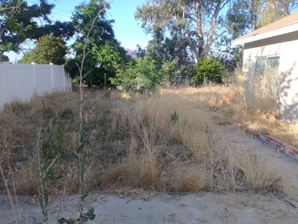 Custom landscape installation for residential properties across Highland, CA - Jay's Mow & Go