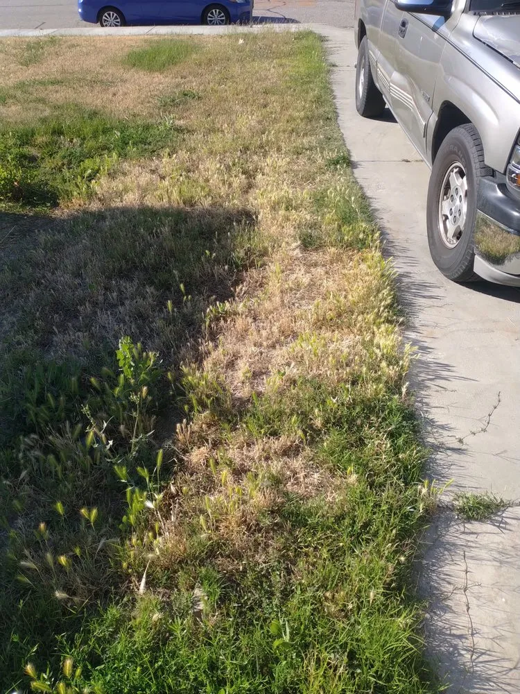 Professional landscape design in Highland, CA by Jay's Mow & Go