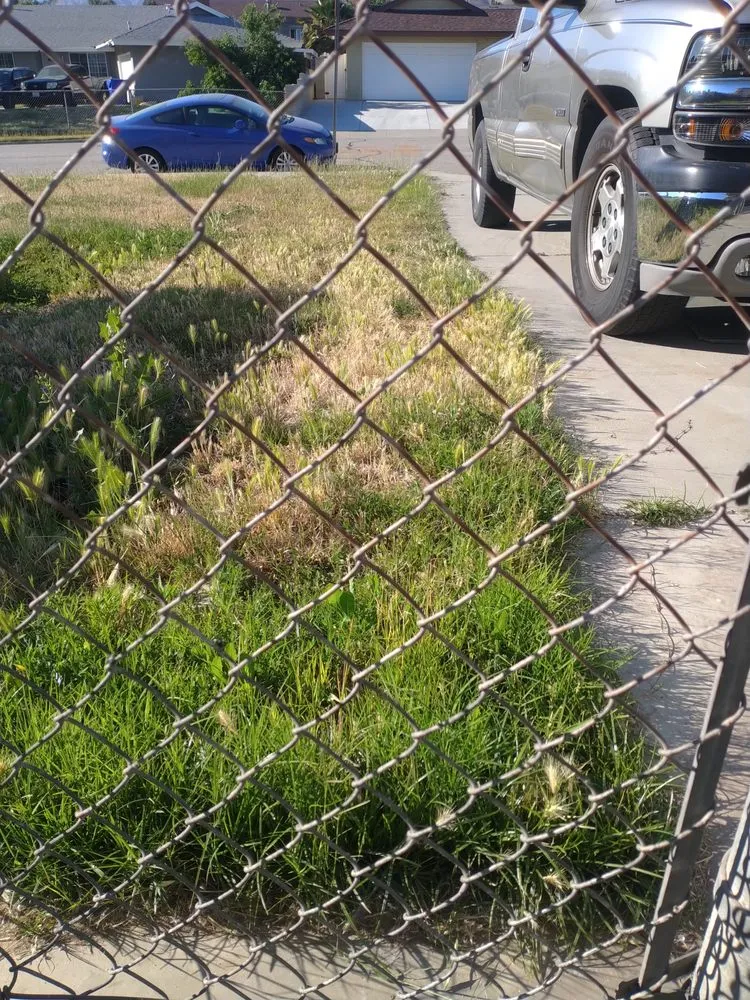 Trusted garden landscaping for beautiful yards in Highland, CA by Jay's Mow & Go