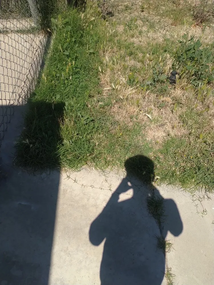 Top-rated outdoor landscaping for outdoor upgrades in Highland, CA by Jay's Mow & Go