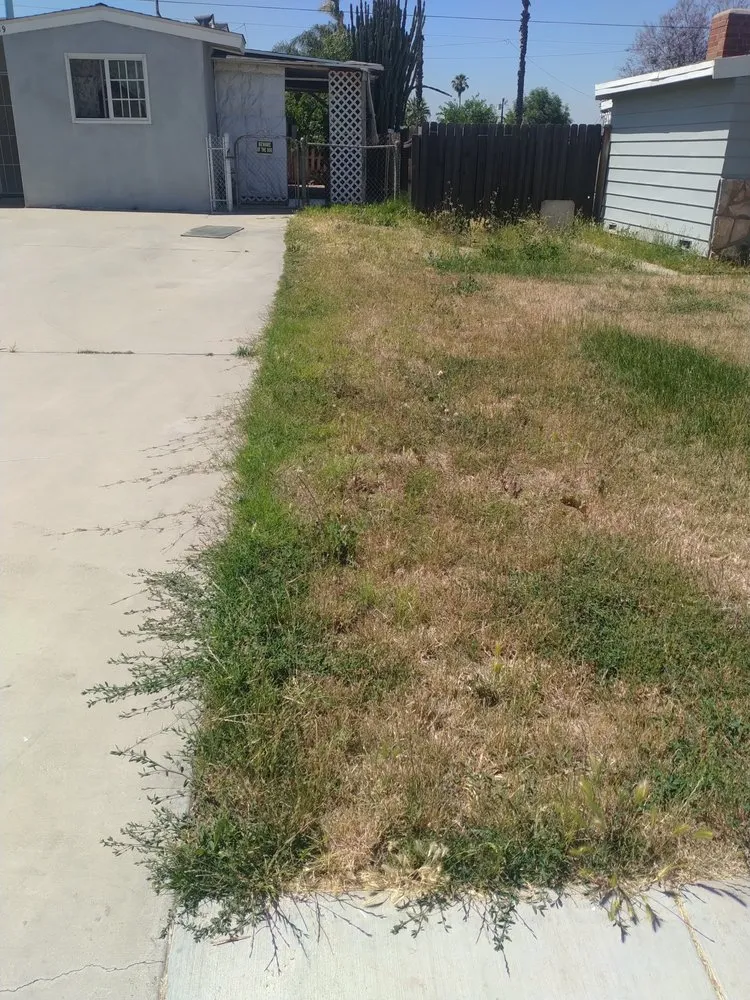 Top-rated outdoor landscaping in Highland, CA - Jay's Mow & Go