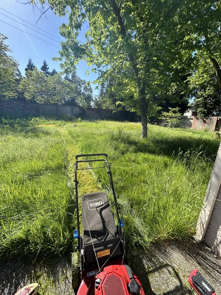 Top-rated landscape installation near you in SACRAMENTO, CA by Jay’s Mowing And Lawn Care