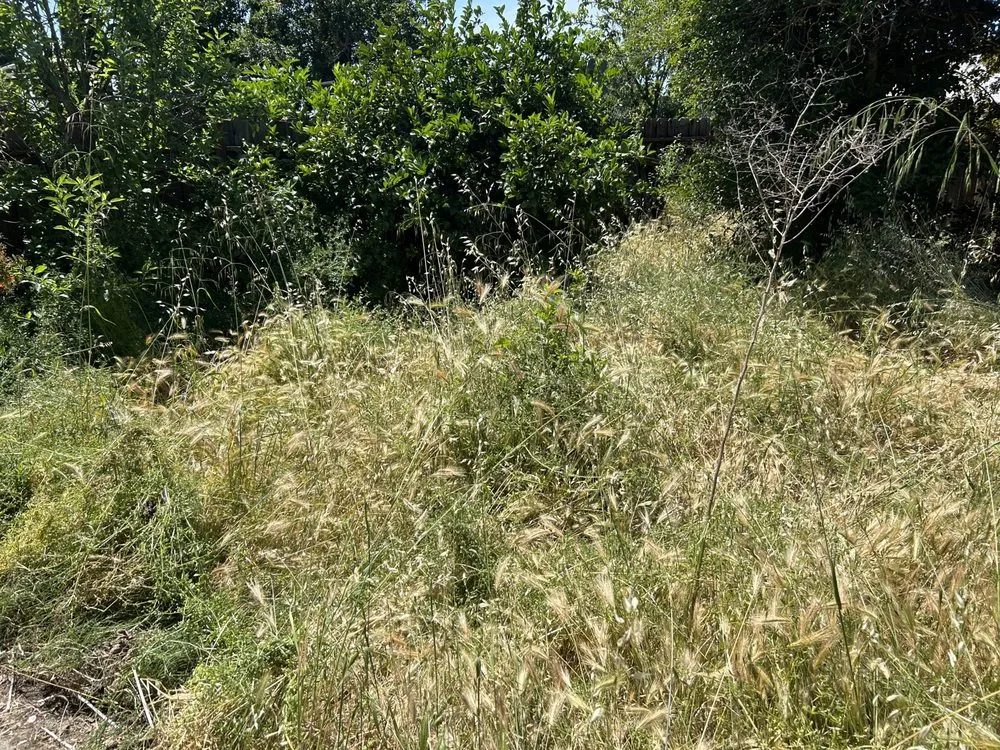 Reliable yard maintenance for homes across SACRAMENTO, CA - Jay’s Mowing And Lawn Care