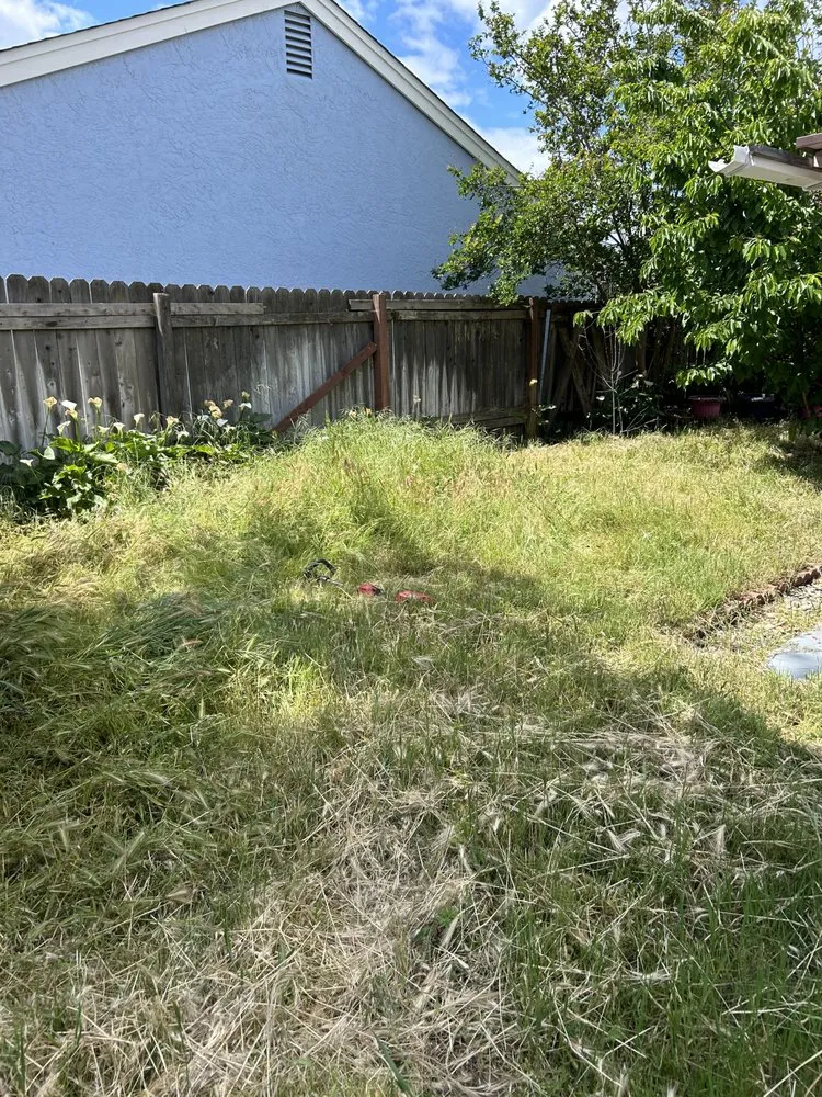 Local yard cleanup service for beautiful yards in SACRAMENTO, CA by Jay’s Mowing And Lawn Care
