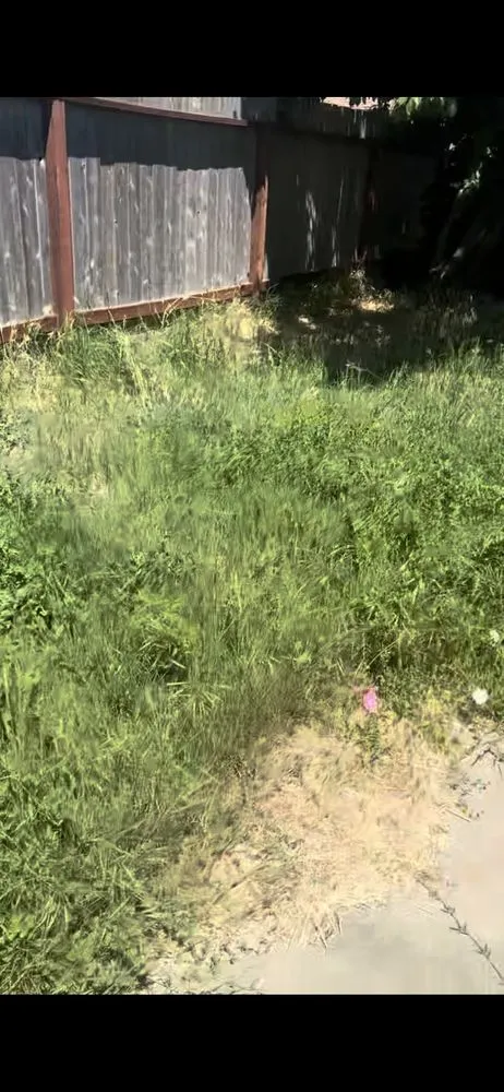 Professional lawn mowing service for homes across SACRAMENTO, CA - Jay’s Mowing And Lawn Care