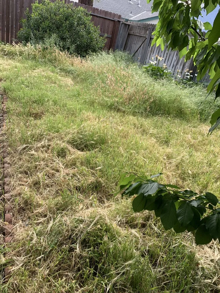 Professional landscaping services for year-round maintenance across SACRAMENTO, CA - Jay’s Mowing And Lawn Care