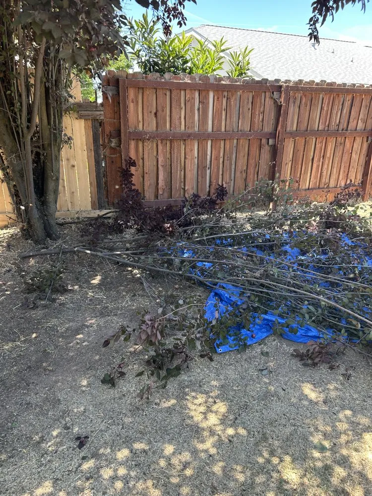 Expert outdoor landscaping in SACRAMENTO, CA by Jay’s Mowing And Lawn Care