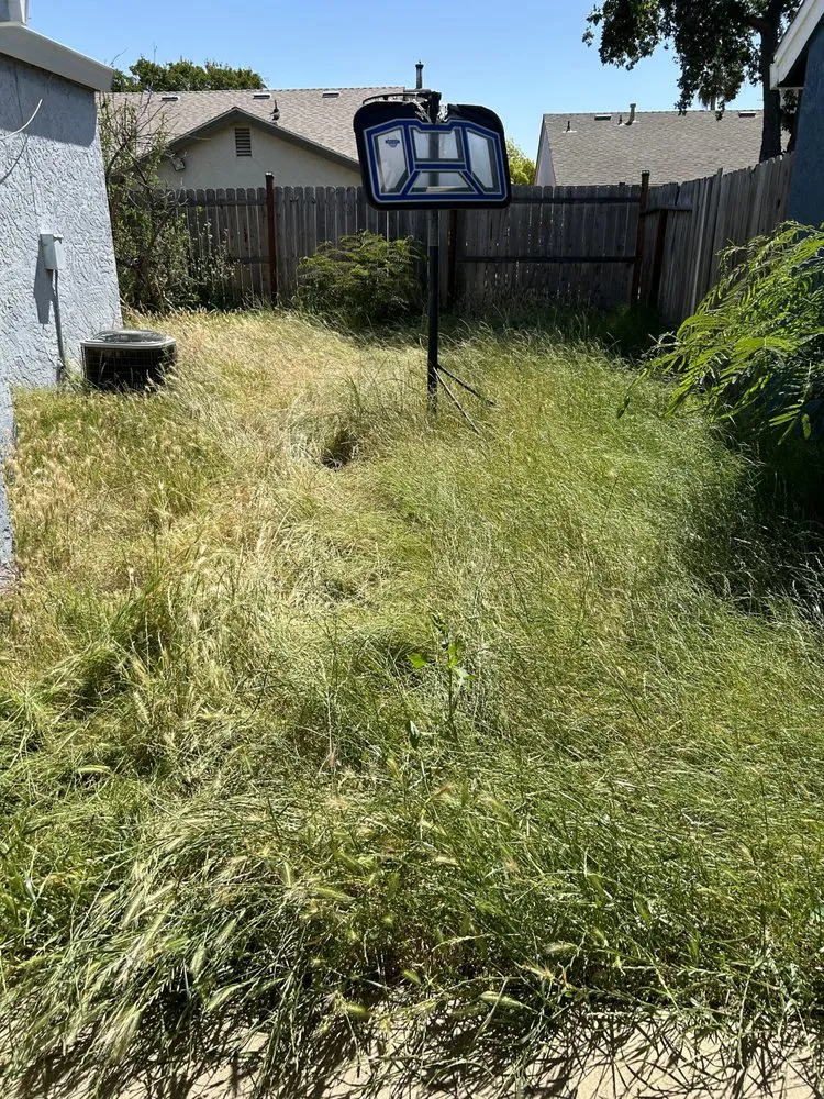 Top-rated residential landscaping for beautiful yards in SACRAMENTO, CA by Jay’s Mowing And Lawn Care