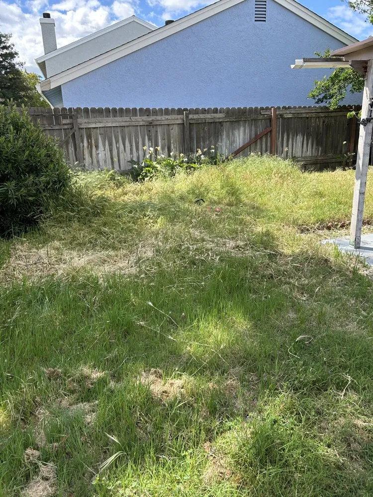 Top-rated yard maintenance for residential properties in SACRAMENTO, CA by Jay’s Mowing And Lawn Care