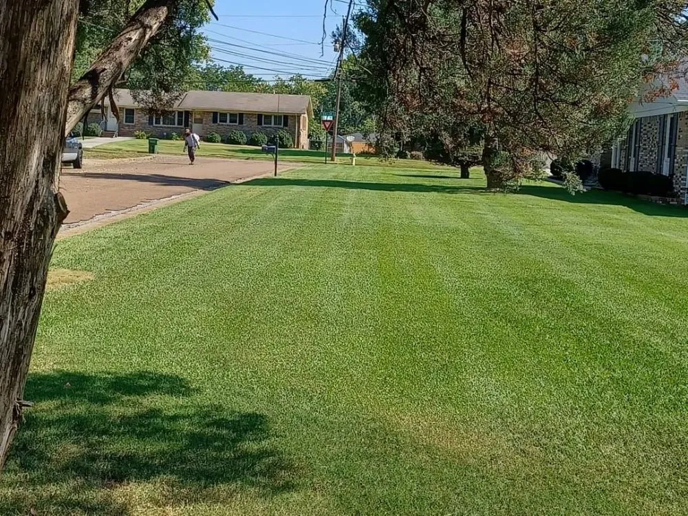 Expert yard maintenance for beautiful yards across Huntsville, AL - Jay's Multi Services