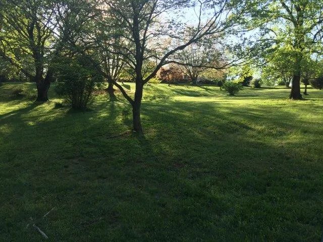 Custom lawn mowing service in Culpeper, VA by Jays Outdoor Care