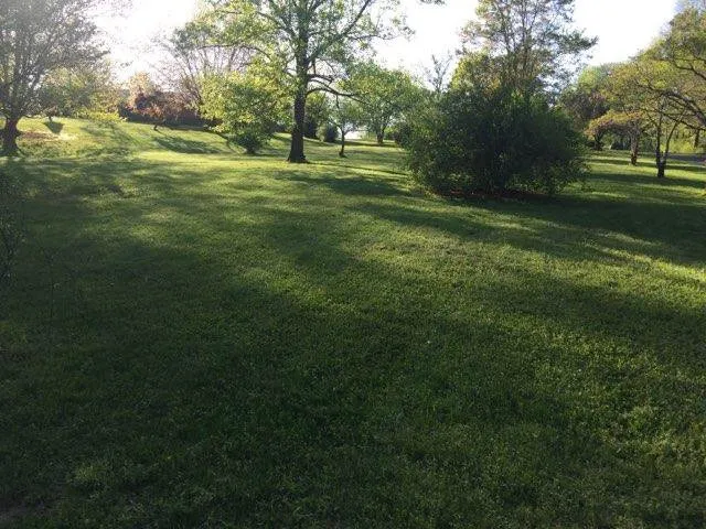 Affordable landscape design in Culpeper, VA - Jays Outdoor Care