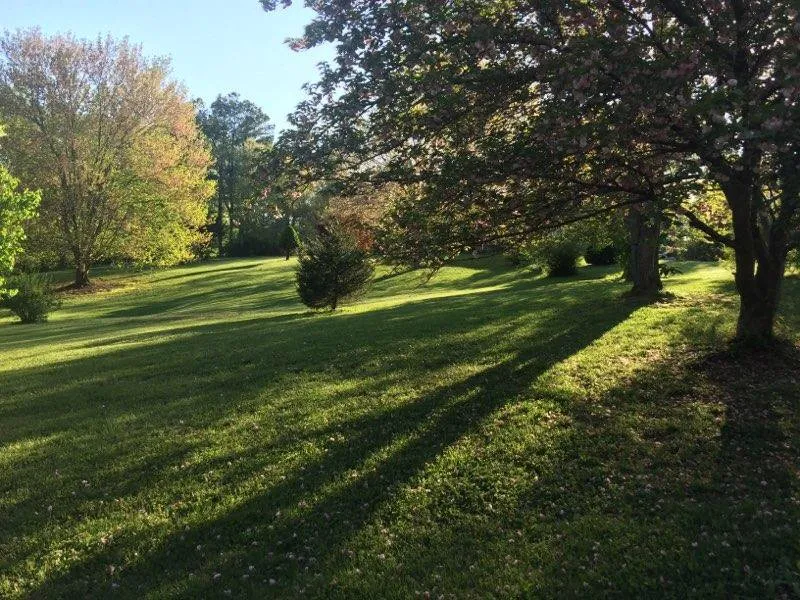 Expert outdoor landscaping for homes across Culpeper, VA - Jays Outdoor Care